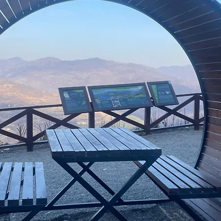 Vulovica * 바이나 바슈타